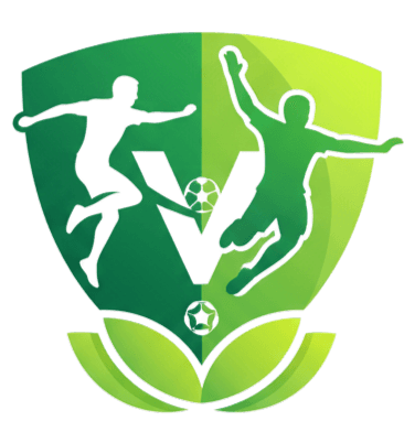 Vijaro Logo